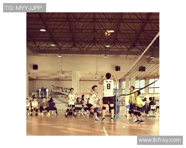 最新排球灵活性排行榜前十名西安排球队表现卓越引领潮流