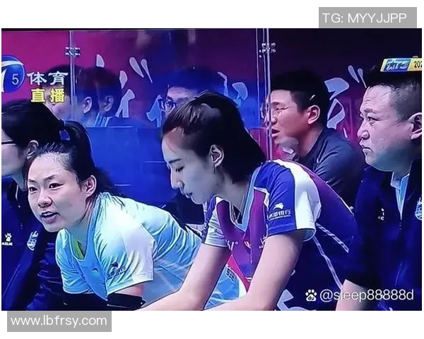 广州排球队实力引发热议球迷对球队表现的不同看法与分析