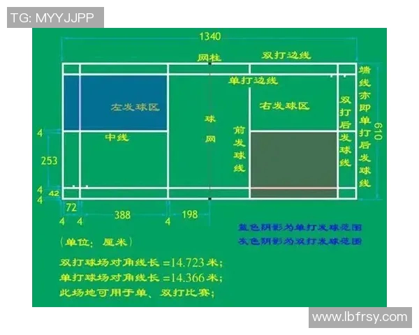 杭州排球队状态深度对比分析揭示未来发展潜力与挑战