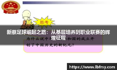 新蔡足球崛起之路：从基层培养到职业联赛的辉煌征程